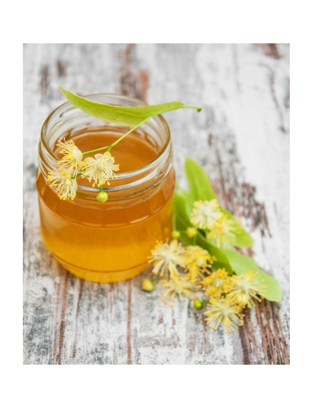 Natural Linden Honey 1.2 kg, Pure, Organic, Unheated / Miód Lipowy