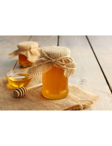 Natural Forest Honey 1.2 kg, Pure, Organic, Unheated / Miód Leśny