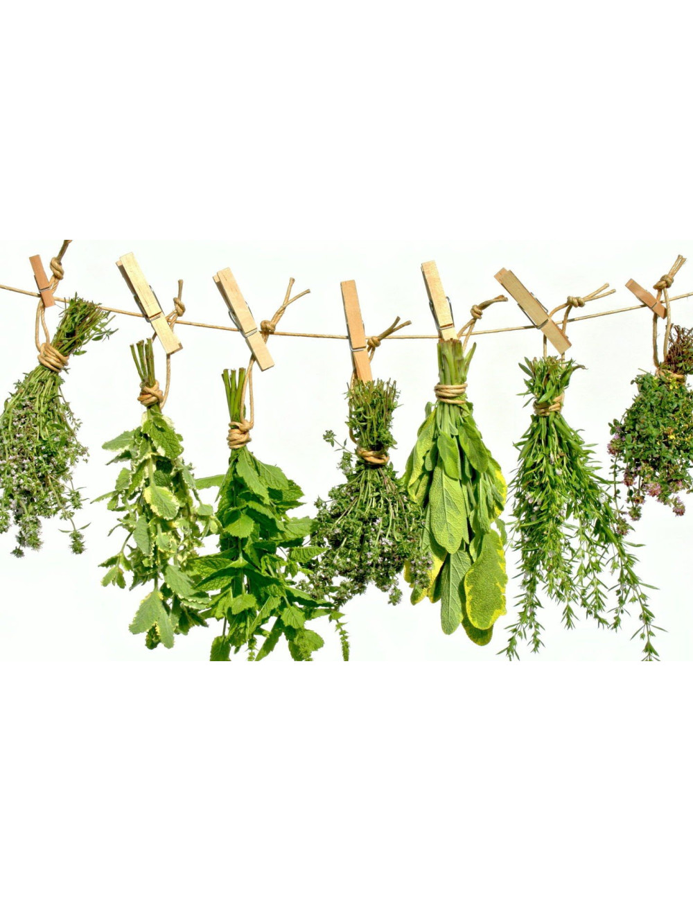 Swedish Herbs with Wormwood, Maria Treben  90.2 g Digestion, Detox, Worms
