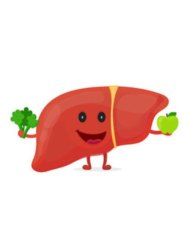 Hepa Complex Protection of the Liver, Biliary Tract and for Detox, 60 tablets