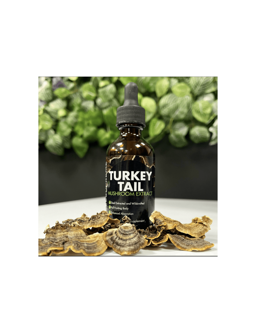Turkey Tail Mushroom Liquid 60ml Feel supreme