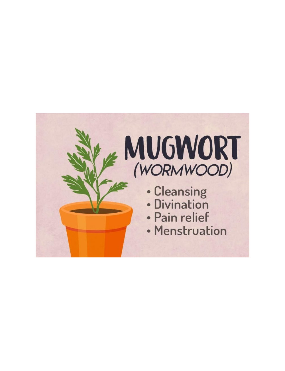 Wormwood Herbs 50g, Piołun Ziele