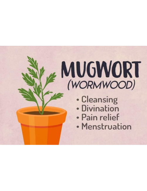Wormwood Herbs 50g, Piołun Ziele