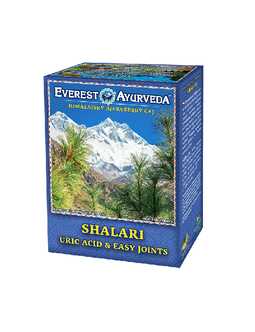 SHALARI Urinary Metabolism & Joints Ayurveda Tea 100g, Everest Ayurveda