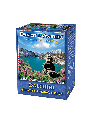 DALCHINI Airways & Nasal Cavity Ayurveda Tea 100g, Everest Ayurveda