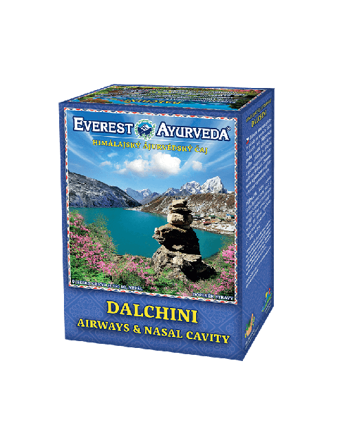 DALCHINI Airways & Nasal Cavity Ayurveda Tea 100g, Everest Ayurveda