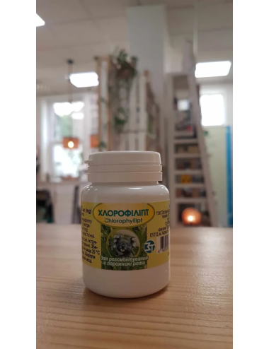 Chlorophyllipt 40 tablets / Chlorofillipt tabletki