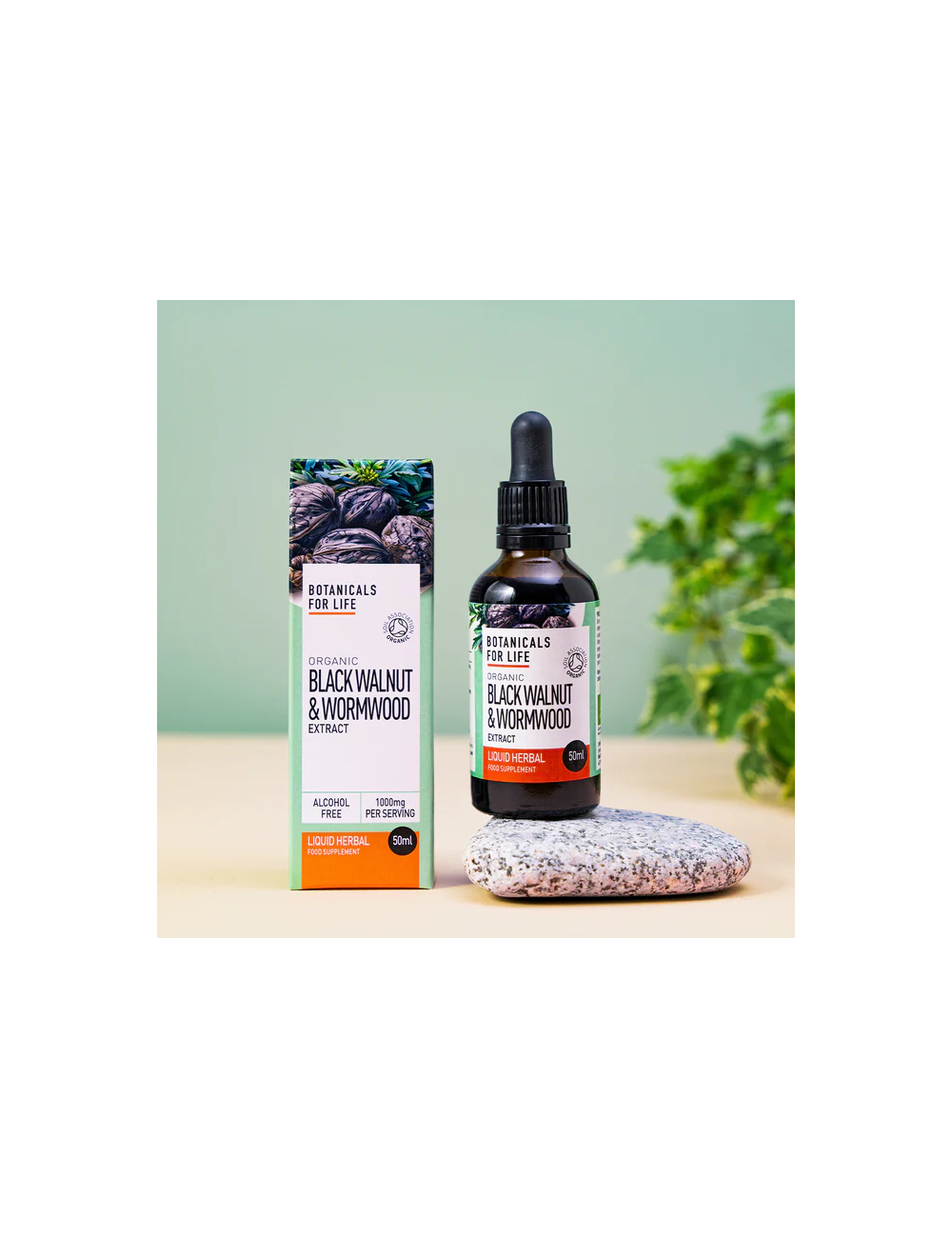 Organic Black Walnut and Wormwood Extract 50ml, Botanicals for Life