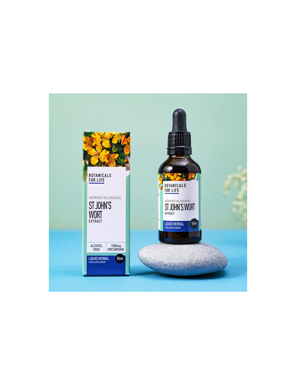 Agroecological St John's Wort Extract 50ml, Botanicals for life
