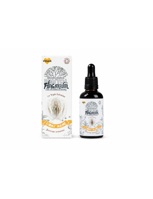 Organic Lion's Mane Tincture 50ml, Bristol Fungarium