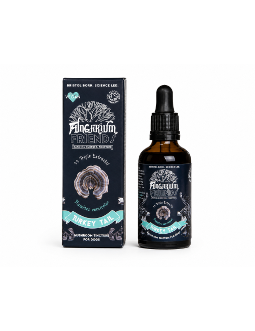 Organic Turkey Tail Tincture 50ml, Bristol Fungarium