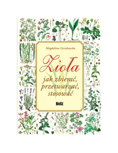 Magdalena Gorzkowska Zioła. Jak zbierać, przetwarzać, stosować. Polish Book