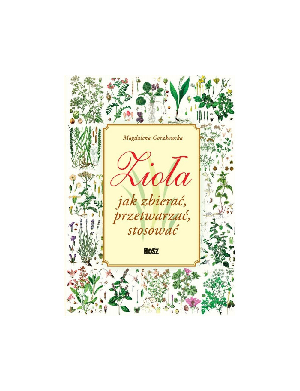Magdalena Gorzkowska Zioła. Jak zbierać, przetwarzać, stosować. Polish Book