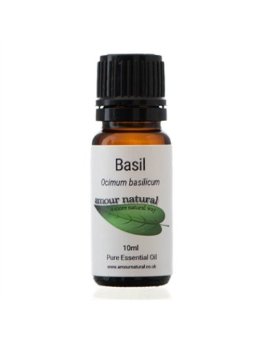 Basil Pure Essential Oil 10ml, Amour Natural