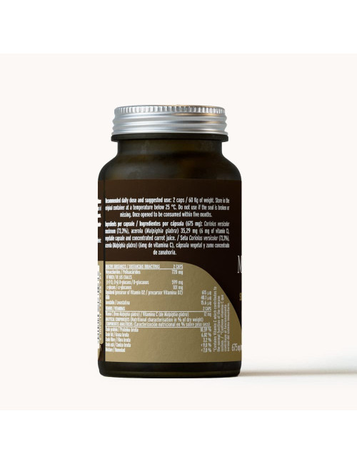 Mico Corio, Hifas Da Terra 70 capsules