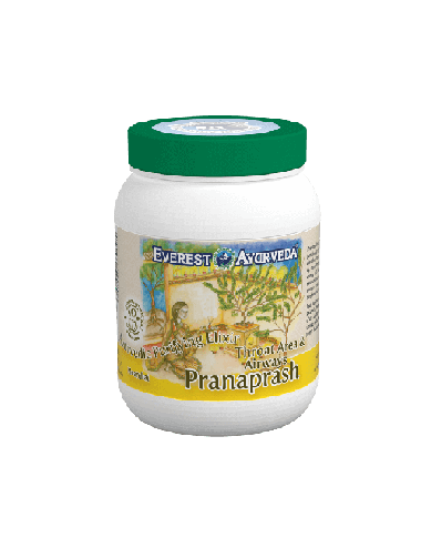 PRANAPRASH Throat Area & Airways Ayurvedic Purifying Elixir Everest Ayurveda
