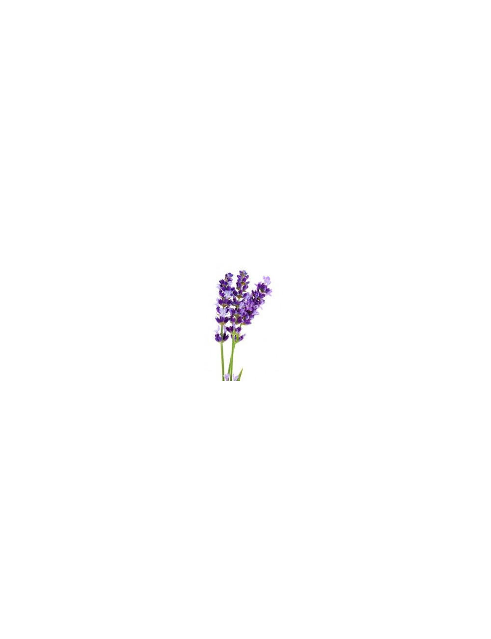 Lavender Flower Dary Natury, Ecological, 50g