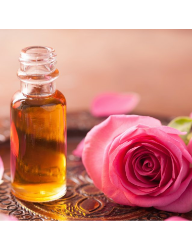 Rose Absolute Diluted 5% in Coconut Oil, 10ml