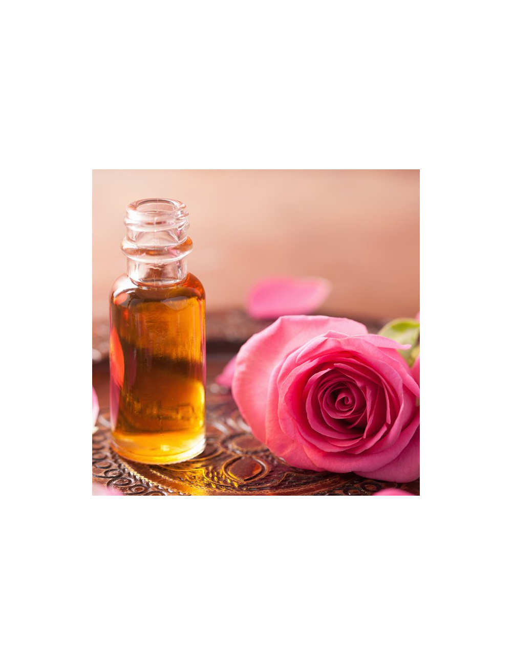 Rose Absolute Diluted 5% in Coconut Oil, 10ml