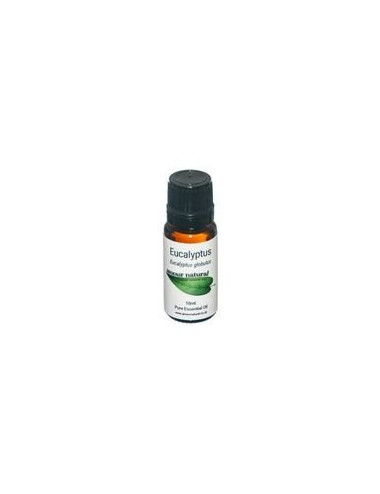 Eucalyptus Pure Essential Oil 10ml,  Amour Natural