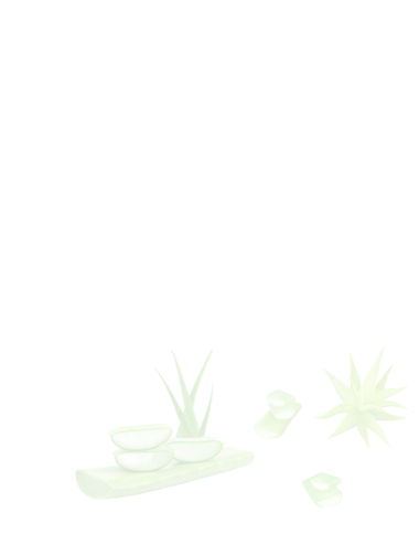 Sapna Aloe Vera Juice 750ml