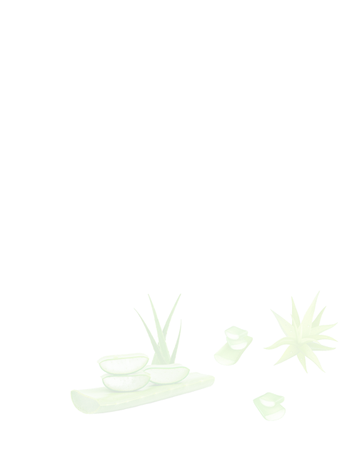 Sapna Aloe Vera Juice 750ml