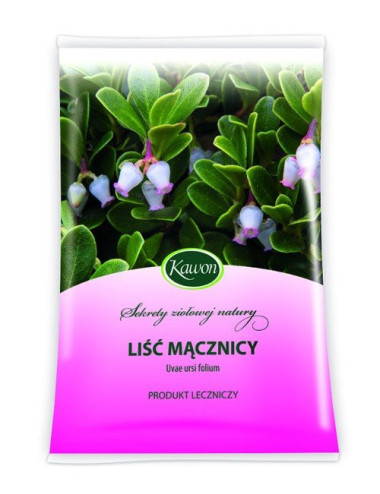 Bearberry Leaf 50g lisc macznicy