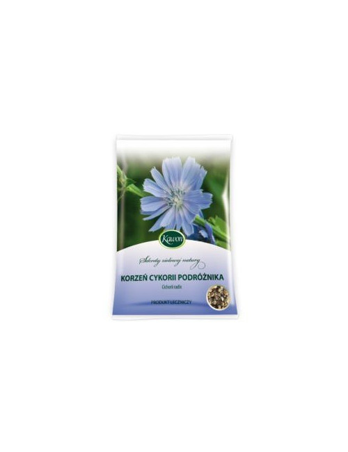 Chicory Traveller Root Radix Cichorii 50g digestive disorders