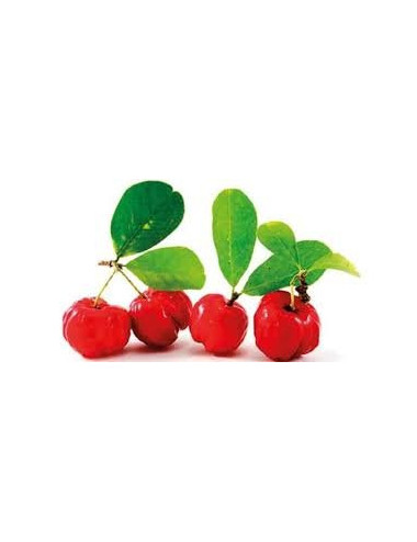 Acerola 500mg 100 tablets Natural Vitamin C Sanbios