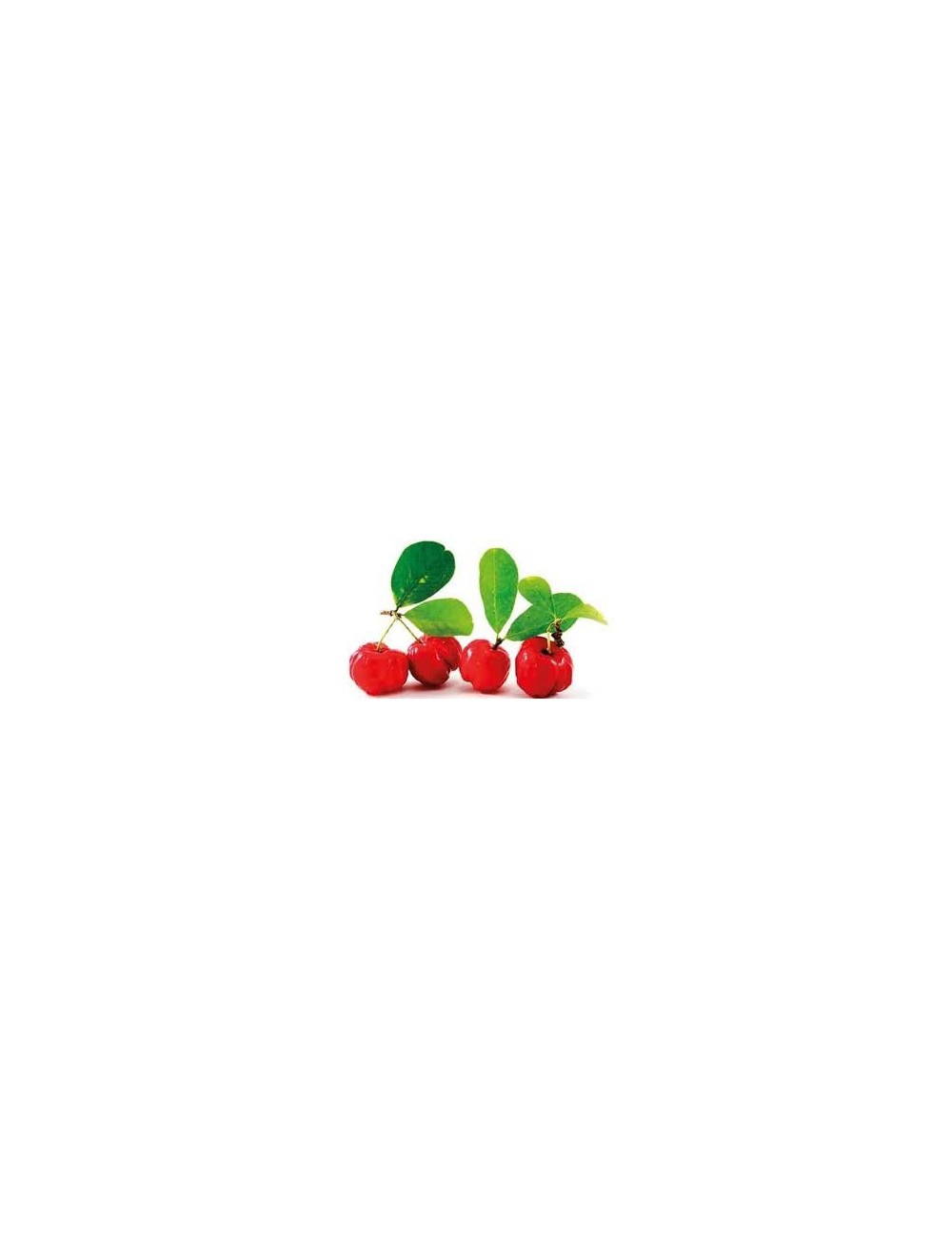 Acerola 500mg 100 tablets Natural Vitamin C Sanbios