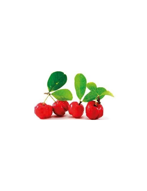 Acerola 500mg 100 tablets Natural Vitamin C Sanbios