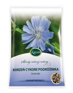 Chicory Traveller Root Radix Cichorii 50g digestive disorders